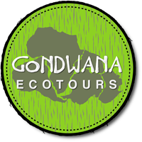 Gondwana Ecotours Logo New FINAL