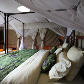 <span>Tanzania:</span> Great Migration Safari 52 Take a breather from your Tanzania adventure in stylish, comfortable safari tented camps and lodges.