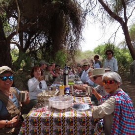 <span>Tanzania:</span> Great Migration Safari 40 Feast with your group during an open-air picnic, surrounded by the Tanzania wilderness.