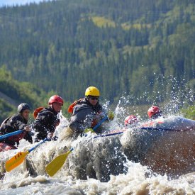 Catch canyon and wildlife views during a rafting adventure on the Nenana River.