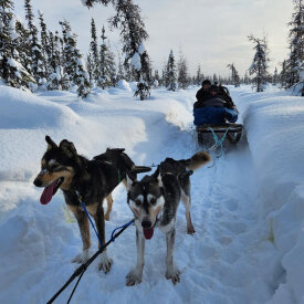 <span>Alaska:</span> Northern Lights Adventure 31 Take a dogsled ride through the Alaskan wilderness.