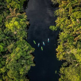 Kayak Costa Rica’s canals surrounded by mangroves and lush jungle.