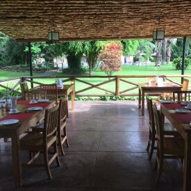 <span>Tanzania:</span> Great Migration Safari 54 Grab a bite surrounded by Tanzania’s vibrant fauna at the lodge.