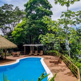 Stay at sustainable lodges like Lapa Rios, surrounded by nature’s beauty.