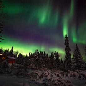 <span>Alaska:</span> Northern Lights Adventure 47 Northern Lights shine over A Taste of Alaska Lodge.
