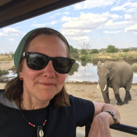<span>Tanzania:</span> Great Migration Safari 58 Get close sightings of elephants during our wildlife excurions in our pop-top land cruisers!