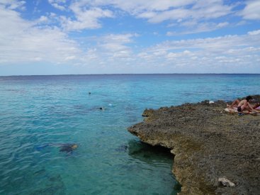 The snorkeling in Zapata National Park is fantastic, the water is so clear!