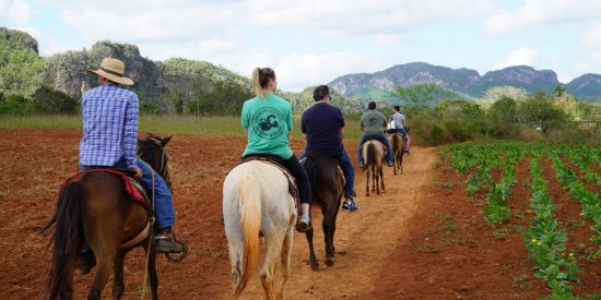 Horseback ride across tobacco plantations and coffee farms through a beautiful valley