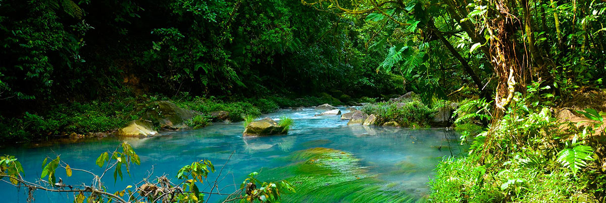 eco tourism activities in costa rica