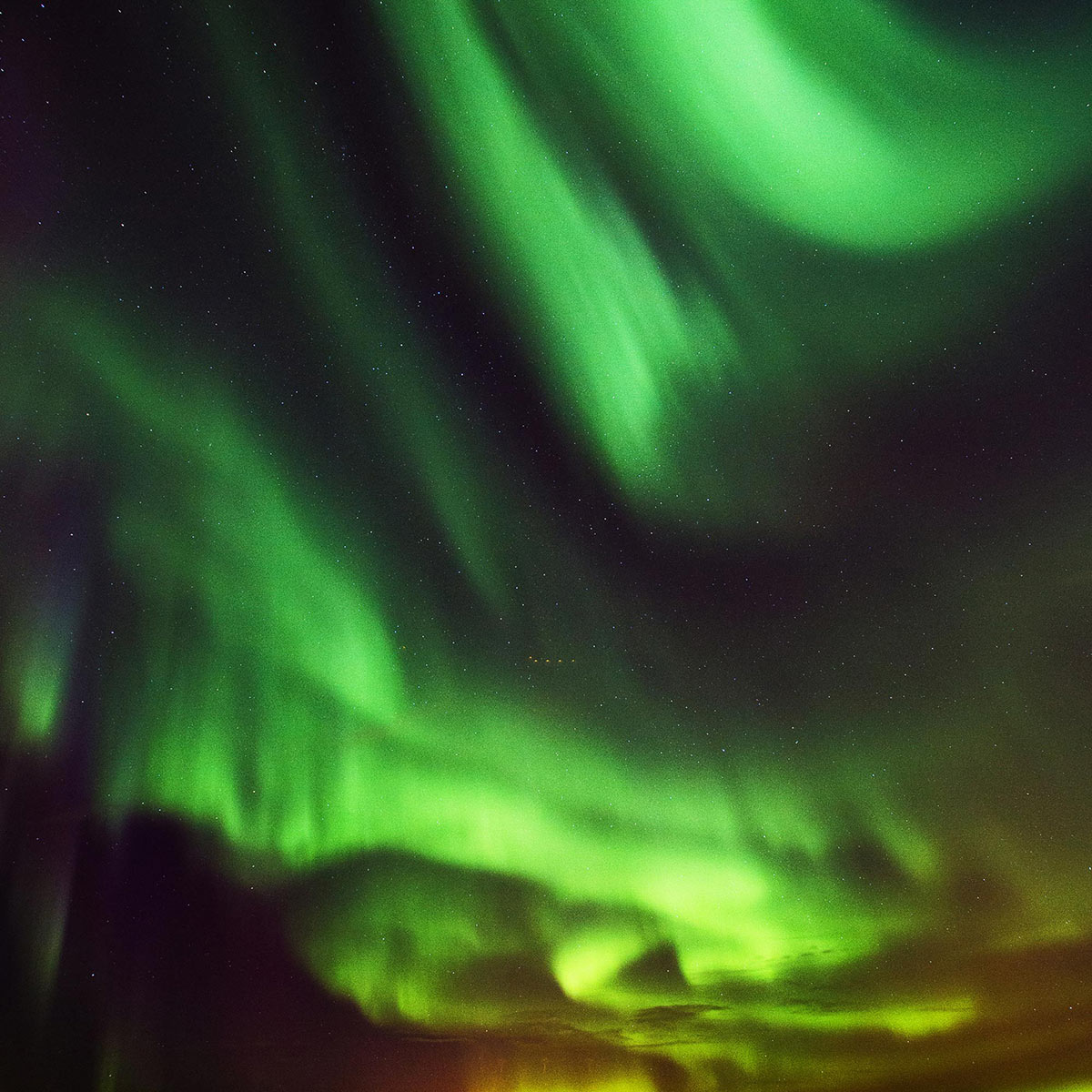 North America display of northern lights in night sky