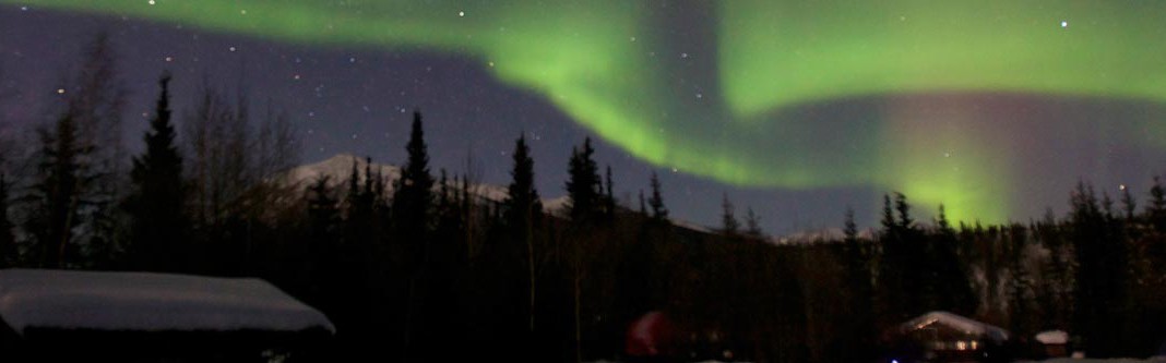 skyline filled with Northern lights in shades of green in Alaska