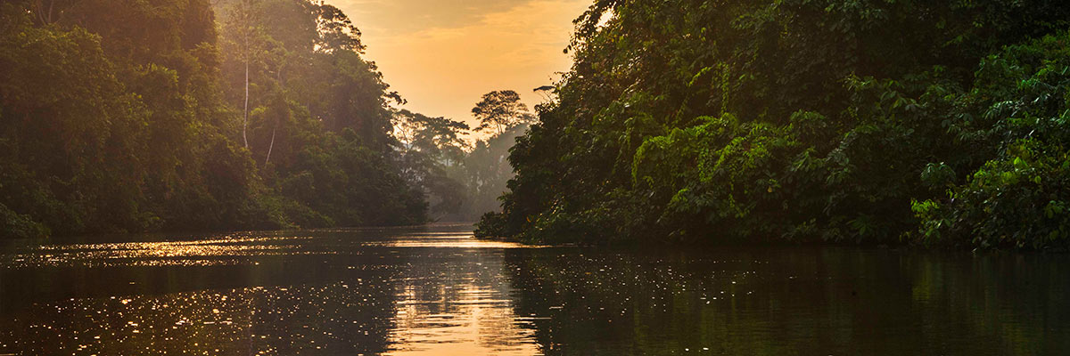 Travel in Ecuador - In the Amazon Rainforest