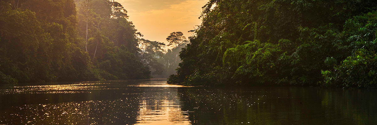 Ecuador Travel: Diversity, Diversity, Diversity 3 Travel in Ecuador - In the Amazon Rainforest