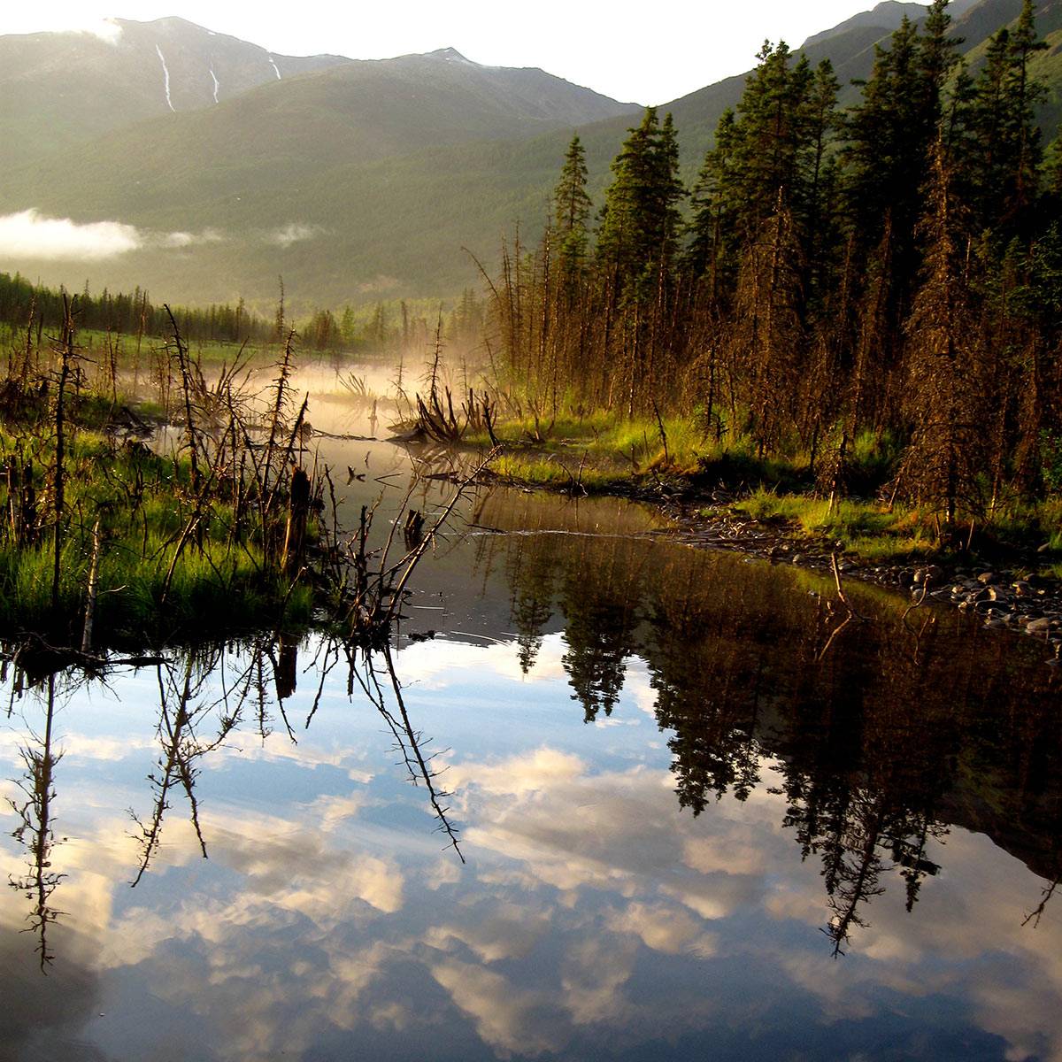 Summer in Alaska