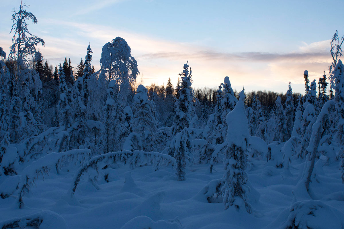 Alaska in Winter