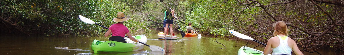 Small group travel-paddling in Costa Rica