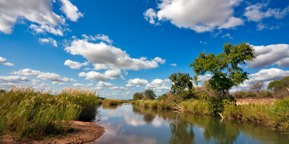 The Best Safari Spots in Africa 6 National Park Landscape