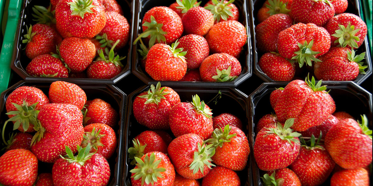 Norwegian strawberries