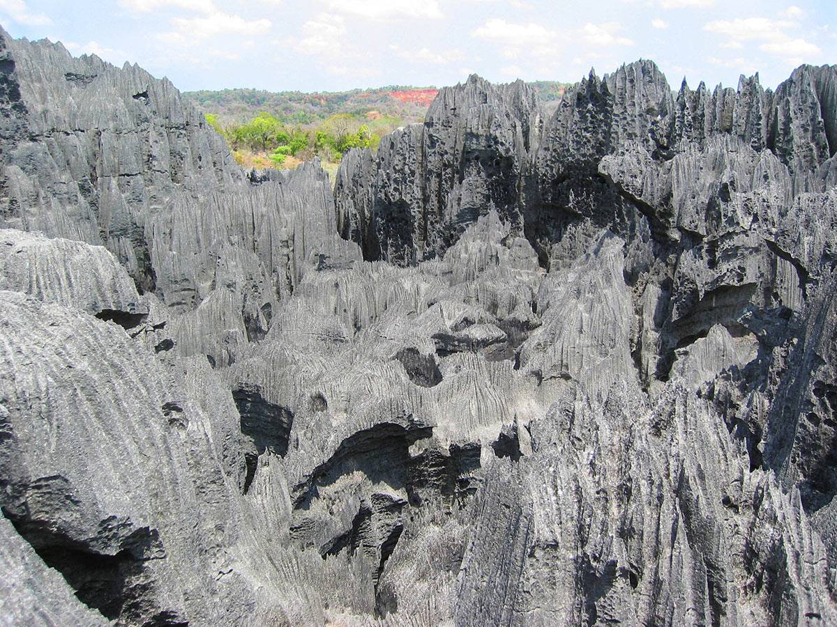 Tsingy National Forest