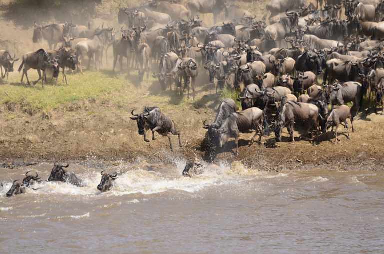 Great Migration