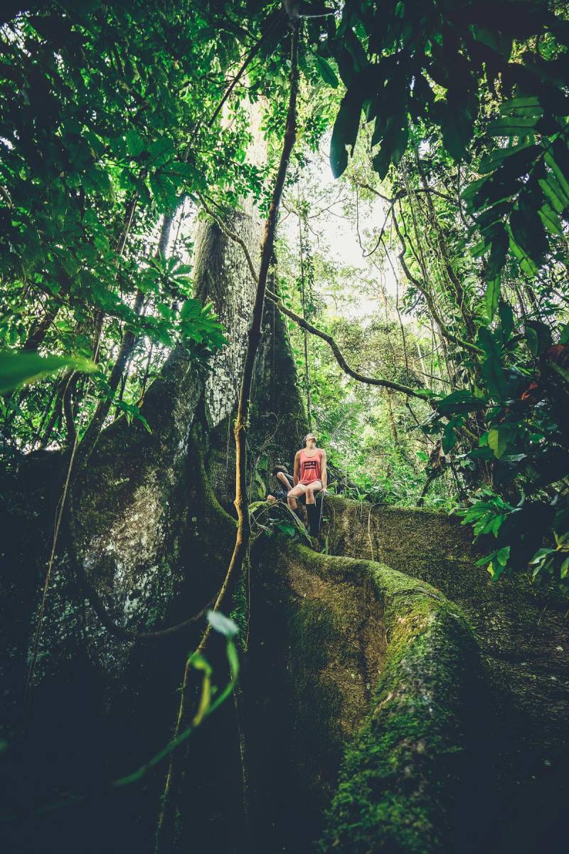 Nature Has Deep Roots in Ecuador