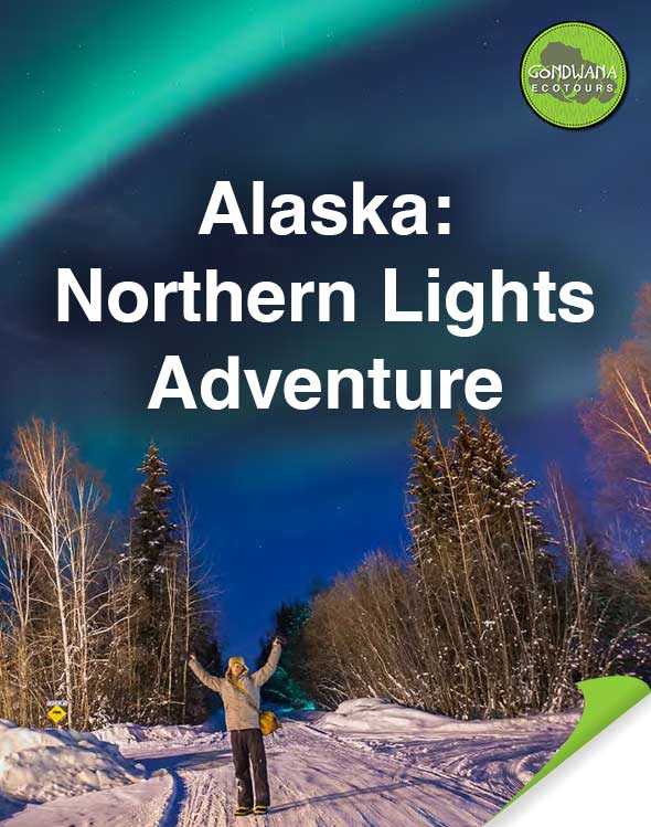 Northern Lights Alaskan Adventure