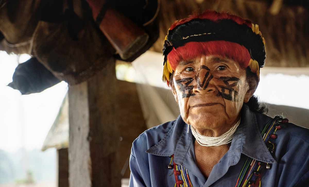 Save the Rainforest-Again 3 Resident of the Amazon Rainforest