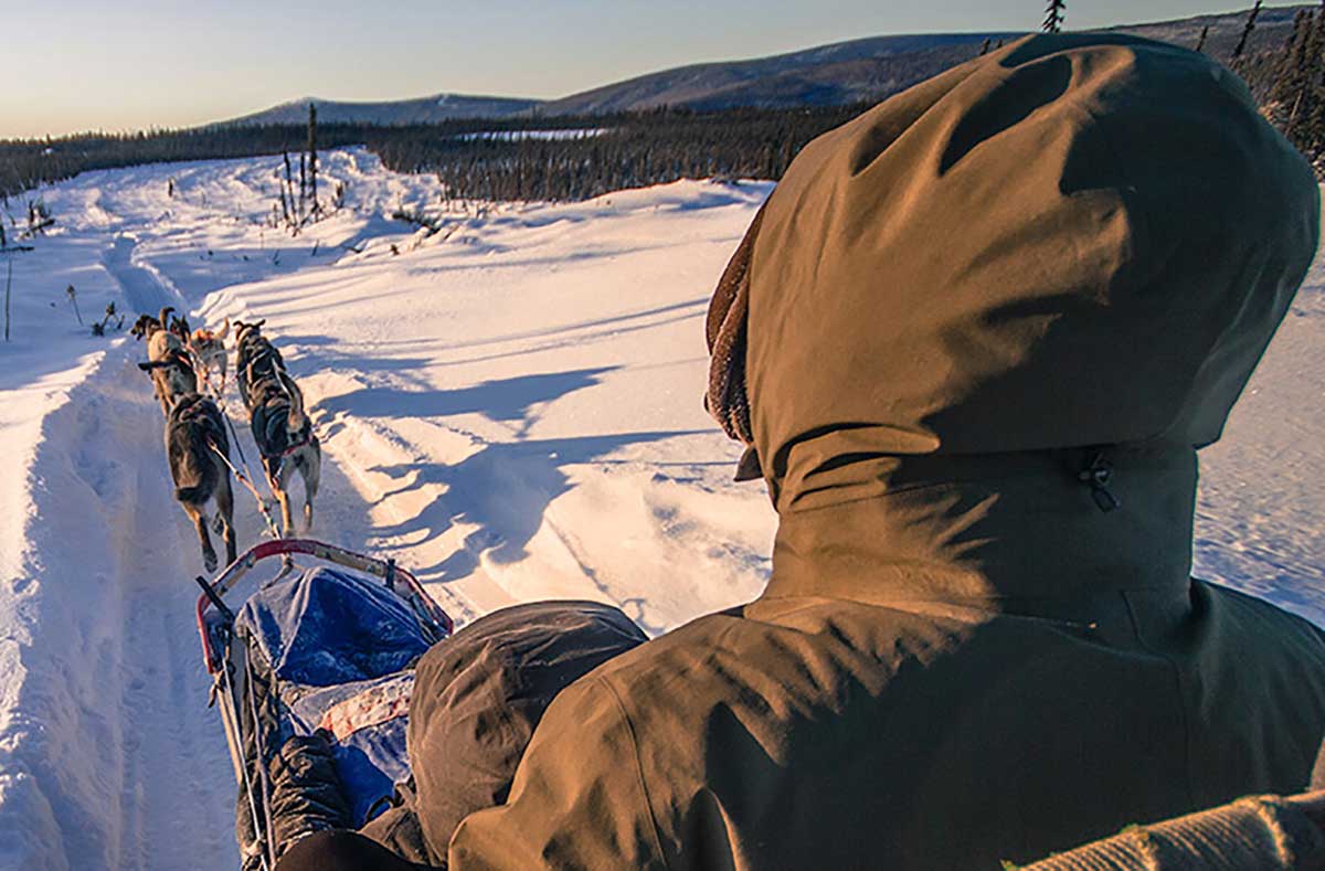 dogsledding in Alaska