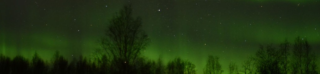shades of green aurora lights over trees in Alaska
