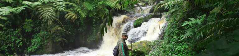 gorilla trekking hikes