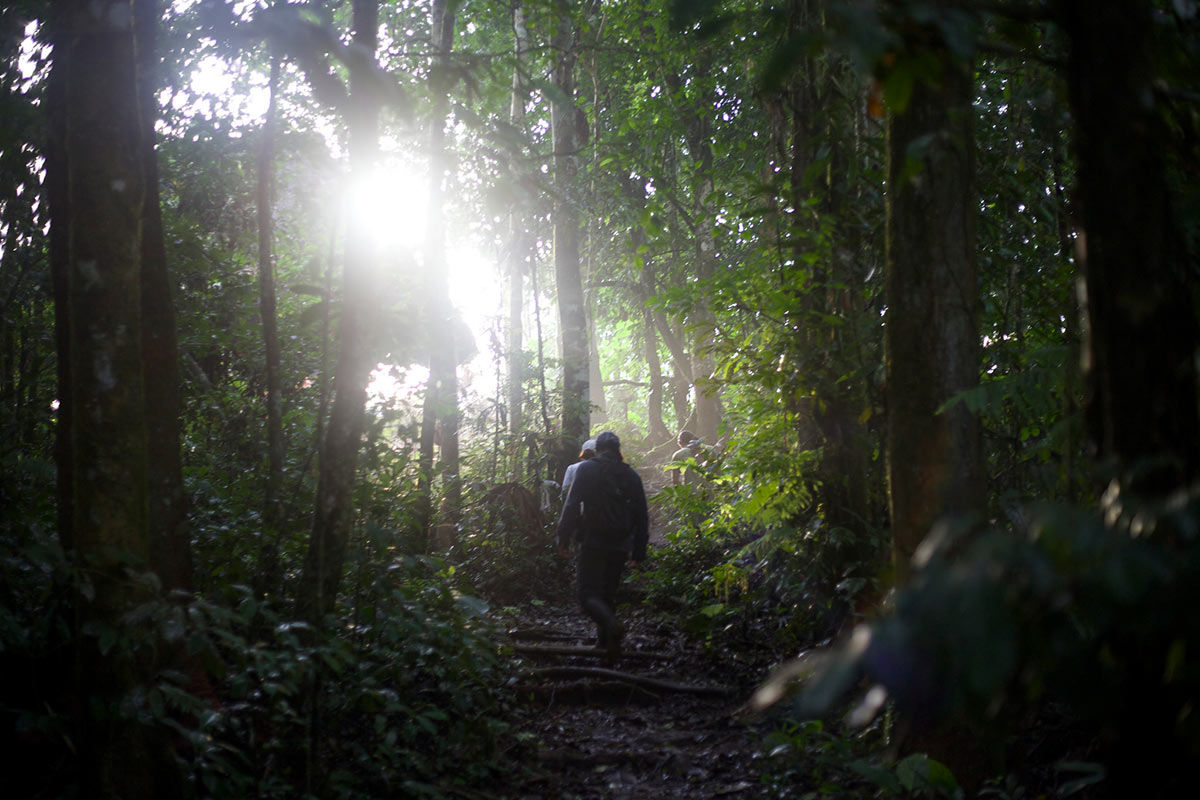 hiking through the amazon