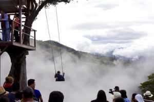 Bro-cation in Ecuador