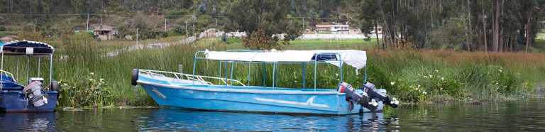 Pink River Dolphin Facts