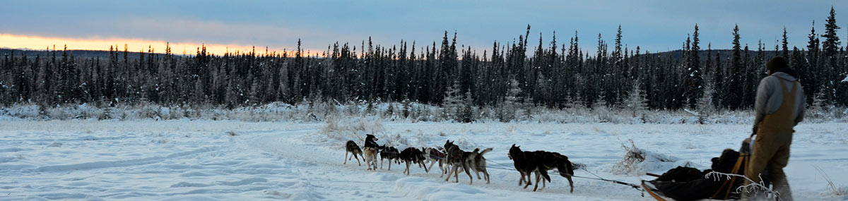 Northern Lights Adventure