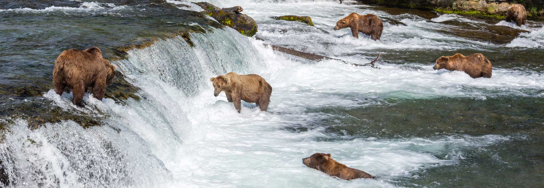 Alaska for Nature Lovers