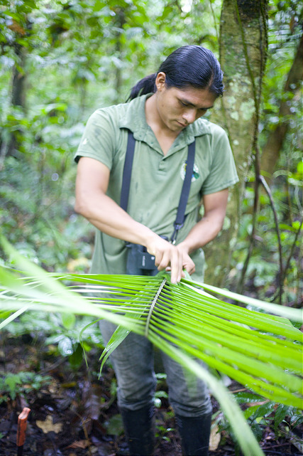 eco-footprint