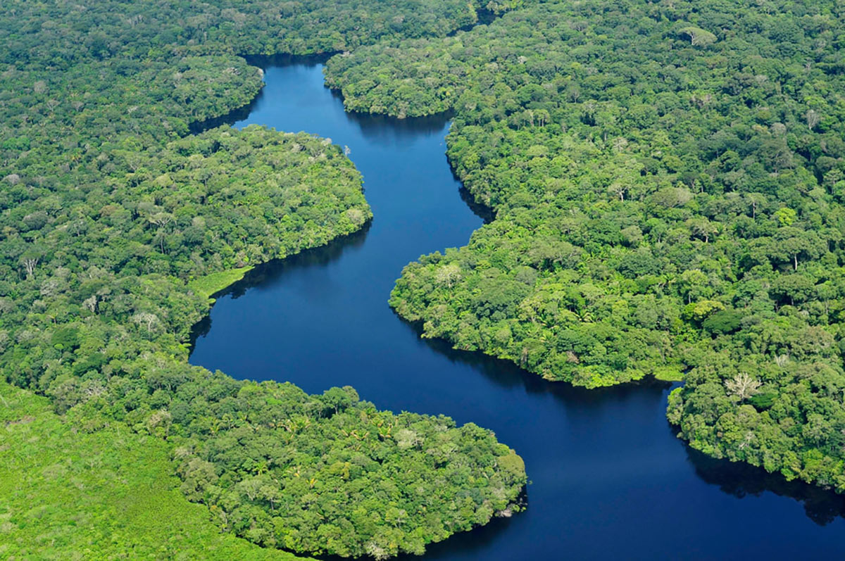 Brazilian Amazon 