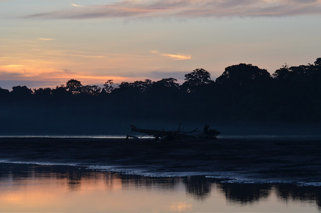 Best Place to See the Amazon