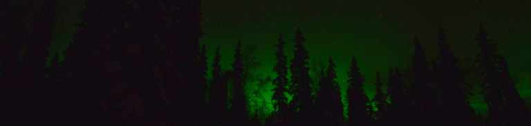 Best Time to See the Northern Lights