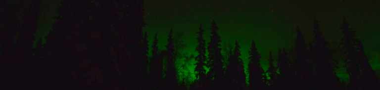 Best Time to See the Northern Lights