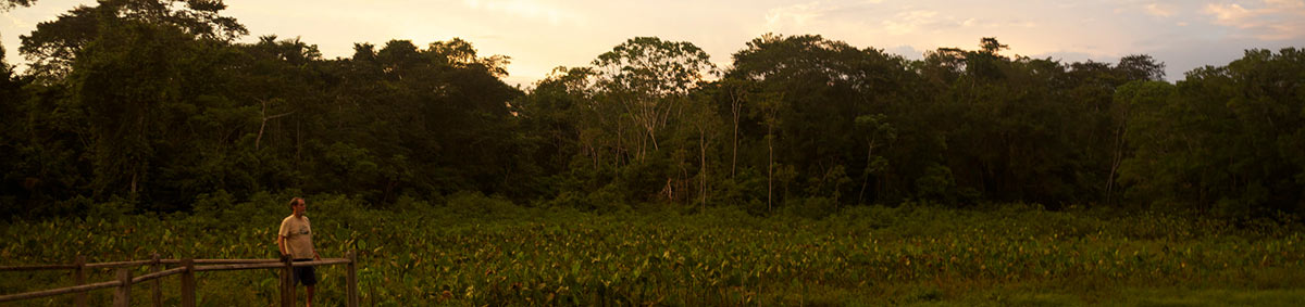 Best Place to see the amazon