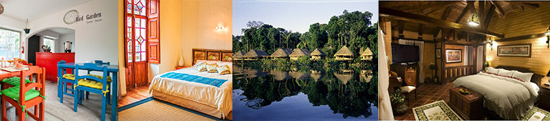 amazon-accommodations travel