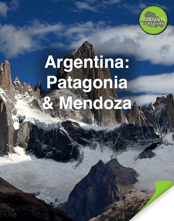 Patagonia Mendoza