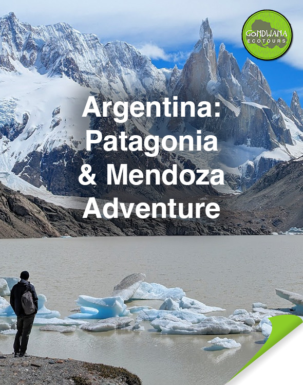 Patagonia Mendoza