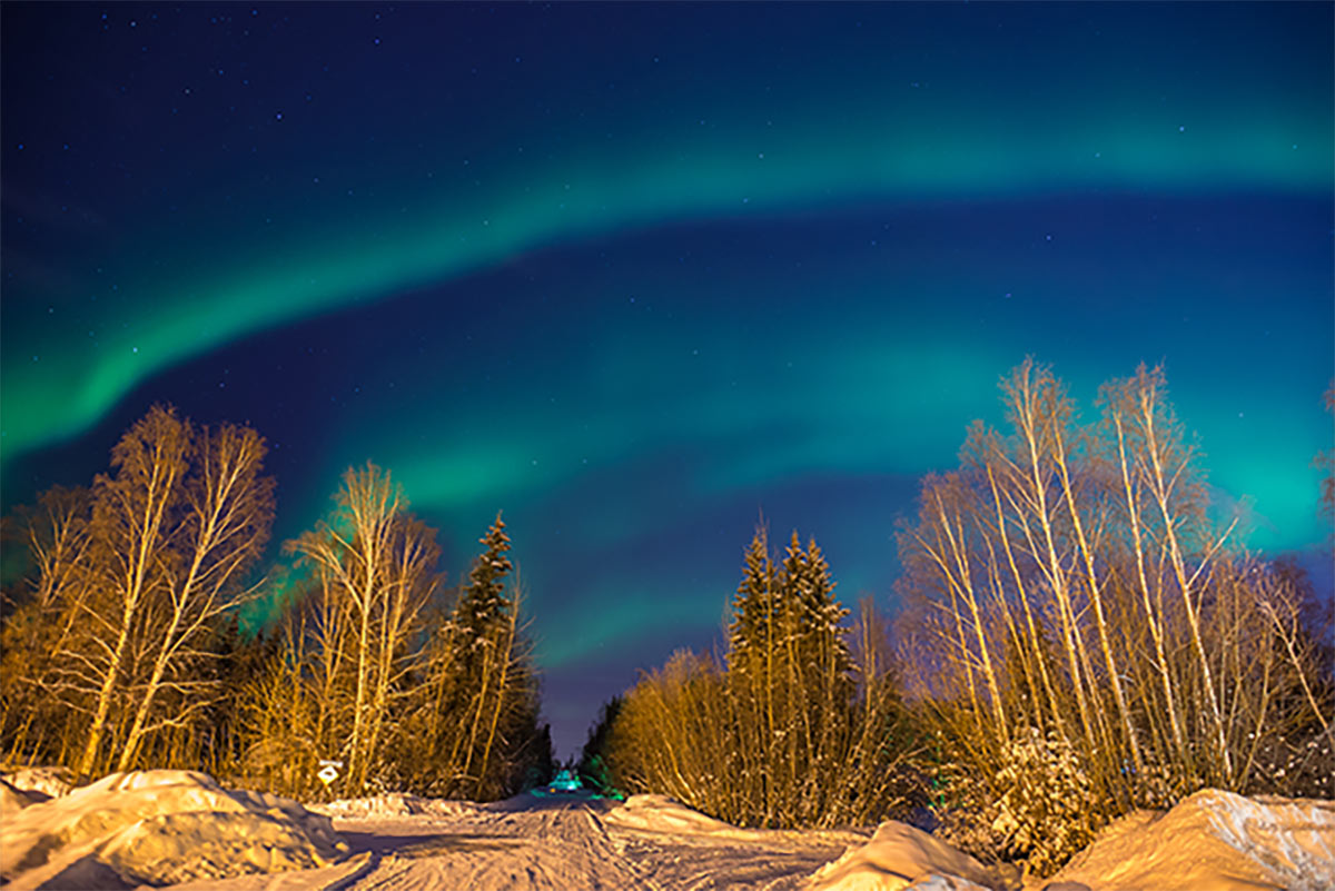 Aurora borealis in Alaska over forest