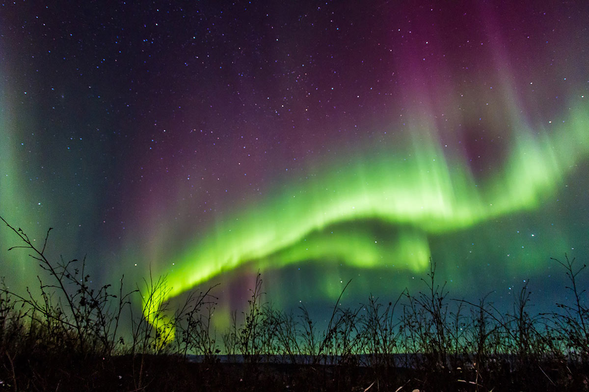 greena and purple ribbons of aurora borealis in Alaskan night sky