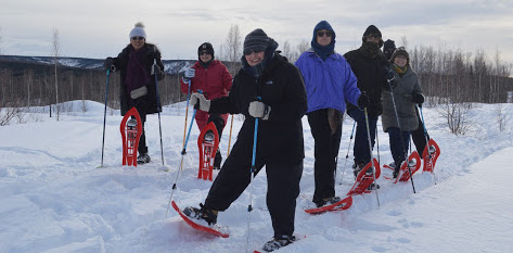 Northern Lights Ecotour