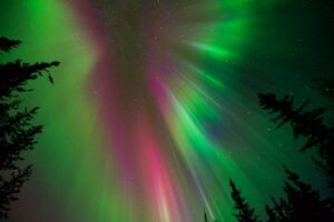 FB IMG 1727056633709