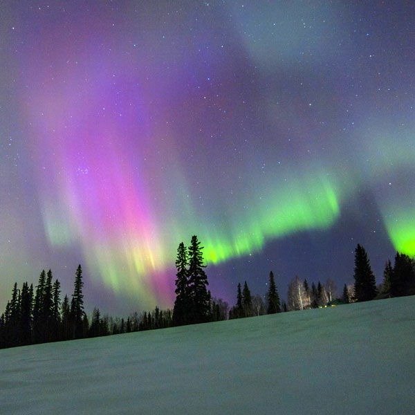 aurora borealis on an Alaskan hillside