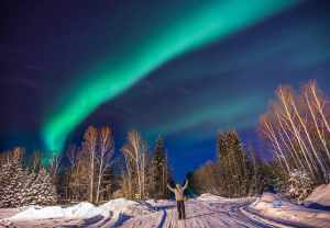 northern lights ecotour